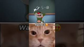 Ржачно смешно ржал 3 часа🤣 funny memes cat [upl. by Weirick]