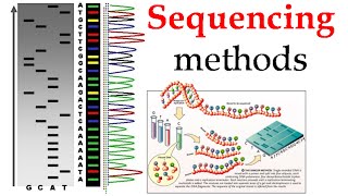 DNA sequencing methods [upl. by Dyane]