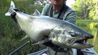 Clear Water BOBBER DOWN King Salmon Action [upl. by Lev913]