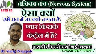 तंत्रिका तंत्र  Nervous System  Human Brain  Tantrika tantra in Hindi  ARSH GS  Biology [upl. by Cam]