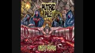 Putrid Pile  Pottymouth [upl. by Atirehc]