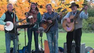 Dogwood Blossom Band [upl. by Tenney]