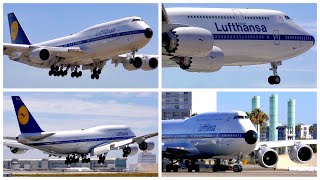 4K LUFTHANSA BOEING 747830 RETRO LIVERY LAX ARRIVAL amp DEPARTURE  PLANE SPOTTING  AUGUST 2019 [upl. by Sheffie697]