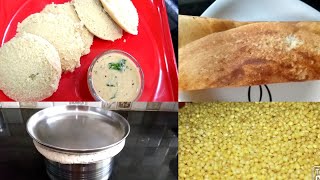 Korralu dosa idli recipe in telugu  FoxTail Millet Dosa Idli millet DosaIdli korrala battar [upl. by Mitchell547]