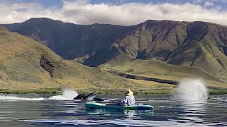 Maui kayak whale watch [upl. by Chev]