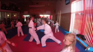 Karate Kumite Kata Summer Project 2015 Puderbach [upl. by Deegan]