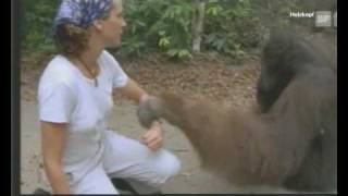 Julia Roberts with Orangutan [upl. by Sikras]