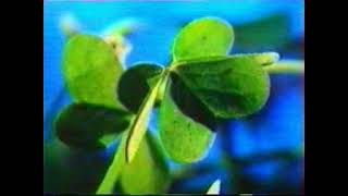 LAventure des Plantes 1986 Episodes 12 amp 13 [upl. by Sine]