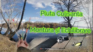 Pluta CulisantaMontura și Echilibrare 🆓 lesson [upl. by Emelyne628]