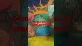 Tarot guidance reading shorts shortsfeed tarot malayalam guidance tarotmalayalam energy [upl. by Emily]