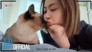 ITZY VLOG RYUJINs Holiday [upl. by Arok560]