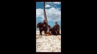 Florida Turkey Hunting  Public Land Osceola Turkeys  South Florida Spring 2020 [upl. by Ilime265]