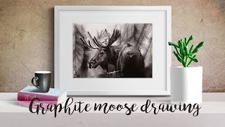 Moose  graphite pencil drawing time lapse [upl. by Lewie]