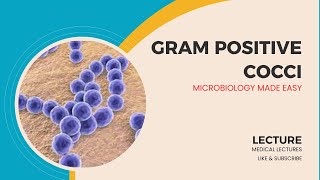 GramPositive Cocci Characteristics Identification and Clinical Significance [upl. by Adriene]