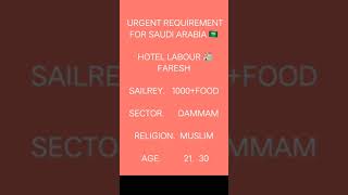 Hotel Housekeeping Staff Chahiye  Gulf Country  Arab Visa [upl. by Ahseia449]