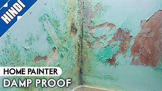 wall damp proof solution in asian paint smartcare how to repair damp wall [upl. by Sib179]