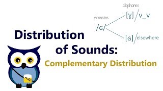 Distribution of Sounds Complementary Distribution [upl. by Dora970]