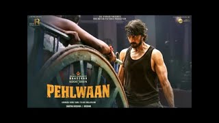 pahalwan full movie hindi dubbed sunil shetty  pahalwan movie south indian hindi dubbed  sudeep [upl. by Koerner]