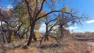 Walking Over the Riverbank at Rio Grande River 110824 V633 [upl. by Norved964]