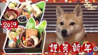 2019年の犬用おせちは今までとは比べ物にならないほどの超豪華！！ [upl. by Krenn879]