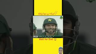 The Biggest Six of Shahid Afridi vs South Africacricket cricketlover shahidafridi cricketshorts [upl. by Ynavoeg205]