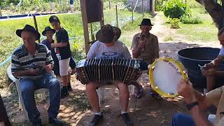 Emerson Uhlig da Concertina 🪗 [upl. by Gena575]