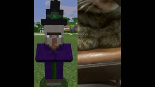 Minecraft vs chat [upl. by Noyr]