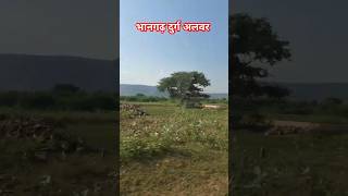 Bhangarh fort Alwar Rajasthan Bhangarh fort Alwar Rajasthan bhangarhfortstory bhangarhkila [upl. by Ardnahsal26]