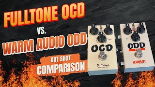 Fulltone OCD vs Warm Audio ODD Gut Shot Comparison [upl. by Hazeefah]