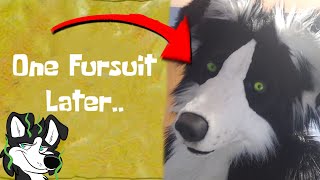 Fursuit Unboxing [upl. by Robinet]