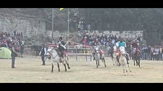 400 Meter Horse race  Lavi Mela Rampur Bushahr 2024 [upl. by Nrev710]