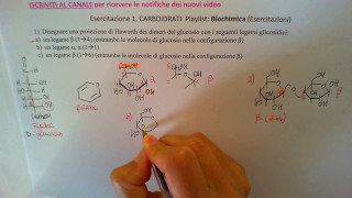 Disaccaridi  Biochimica Esercitazione 1 [upl. by Aerdnuahs]