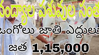 Sk Allagadda is live ప్రతి శనివారం నంద్యాల పట్టణంలో పశువుల సంత👈🐄🐂🐄🐂🐄🐂🐄 [upl. by Celestyna]