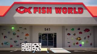 CK Fish World has GreenPleco plushies in there store [upl. by Aicnelav]