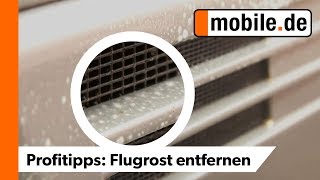 Flugrost entfernen  mobilede Profitipps [upl. by Mellisent]