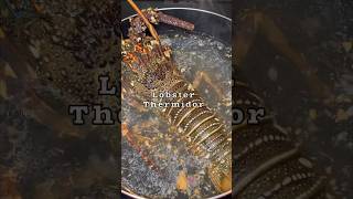 Perfect recipe of Lobster Thermidor thermidor seafood lobster ksa [upl. by Sillyrama]