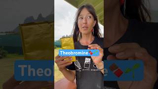 The 🐓 introduction🤣 Theobroma Cacao the food of the gods Theobromine smooth muscle relaxant [upl. by Greta]