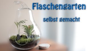 Flaschengarten  Ewiger Garten  Ewiges Terrarium selber machen [upl. by Attenov678]