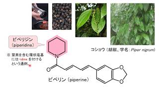 【薬の化学構造名の由来を知ろう！：医薬品化学名語源事典mini】（１）ピペリジンとピペラジン [upl. by Publia626]