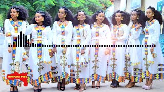 Debesay Zegeye  Ameley Eyu  ደበሳይ ዘገየ  አመለይ እዩ  New Traditional Tigrigna Music 2020 [upl. by Eibbor]