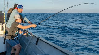 yellowtail fishing in cedros island  cedros sportfishing with toro [upl. by Attelrac33]