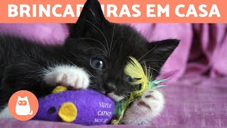 5 JOGOS PARA GATOS EM CASA 🐱 [upl. by Aisatana]