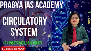 Circulatory System Pragya ias academy provides excellence in education and career guidance and couns [upl. by Tivad155]