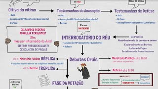 TRIBUNAL DO JÚRI Como funciona  Aula 05  Julgamento em Plenário  PROCESSO PENAL [upl. by Rand]