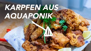 Karpfen im Bierteig – Simples Rezept Karpfen aus der Aquaponik [upl. by Gnoix818]