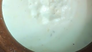 How to make MISTHI DOI at home 🤔🔥Mishti doi recipe 🤤😍 [upl. by Niveek65]