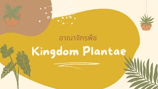 อาณาจักรพืช Kingdom Plantae สรุปแบบย่อ [upl. by Hansel]