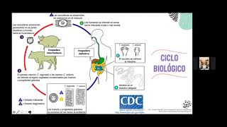 Teniasis y cisticercosis [upl. by Llechtim]