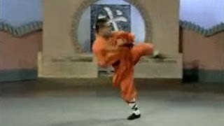 Shaolin Kung Fu Combat Styles 17 emperors longrange form 太祖长拳 taizu chang quan [upl. by Cletus233]