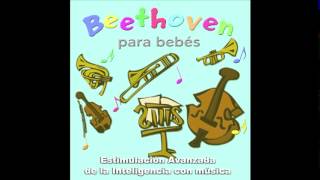 beethoven para bebes 6  relajacion y estimulacion de la inteligencia  embarazo  prenatal [upl. by Kiersten749]